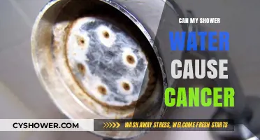Shower Water Safety: Uncovering Potential Cancer Risks in Your Home