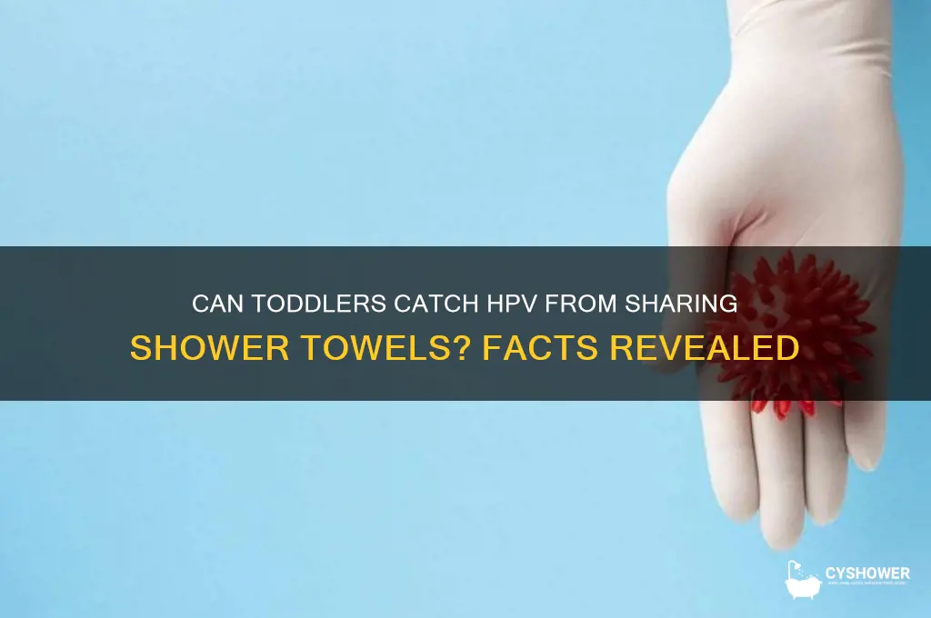 can my toddler get hpv from touching my shower towel