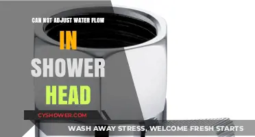 Troubleshooting Shower Head: Why Can't You Adjust Water Flow?