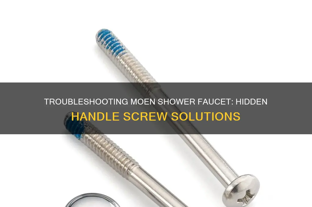 can not see the faucet handle screw moen shower faucet