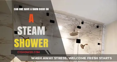 Barn Doors for Steam Showers: Innovative Design or Impractical Idea?