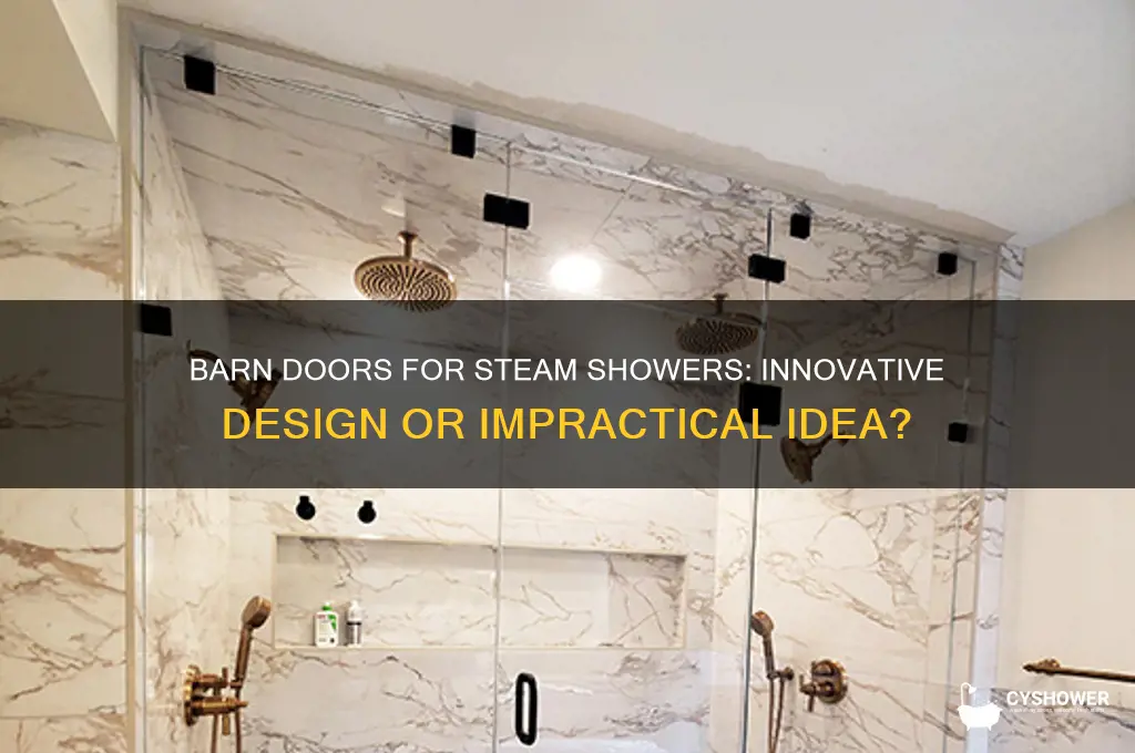 can one have a barn door on a steam shower
