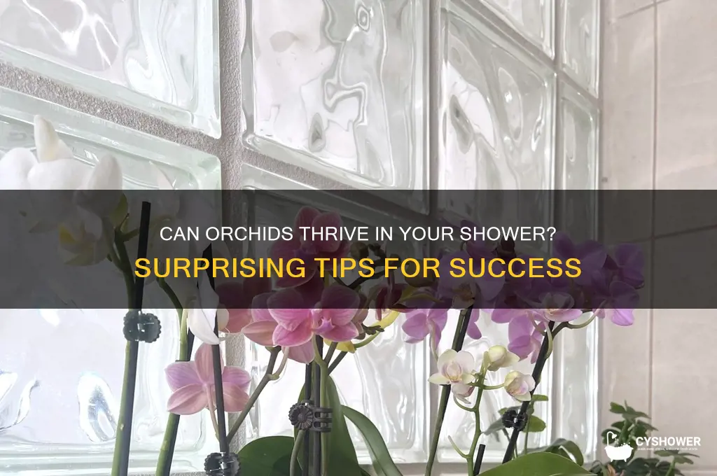 can orchids grow in shower