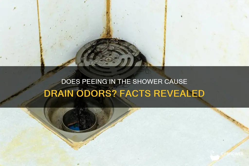 can peeing in the shower make the drain stink