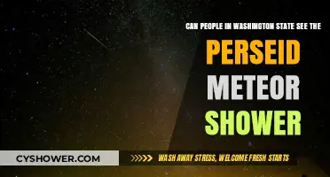 Washington State's Perseid Meteor Shower Visibility Guide: What to Expect