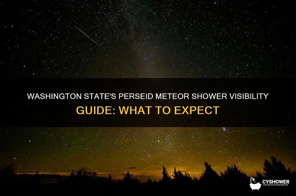 can people in washington state see the perseid meteor shower