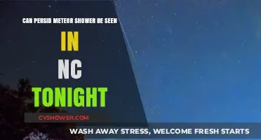 NC Skywatchers: Can You Spot the Perseid Meteor Shower Tonight?