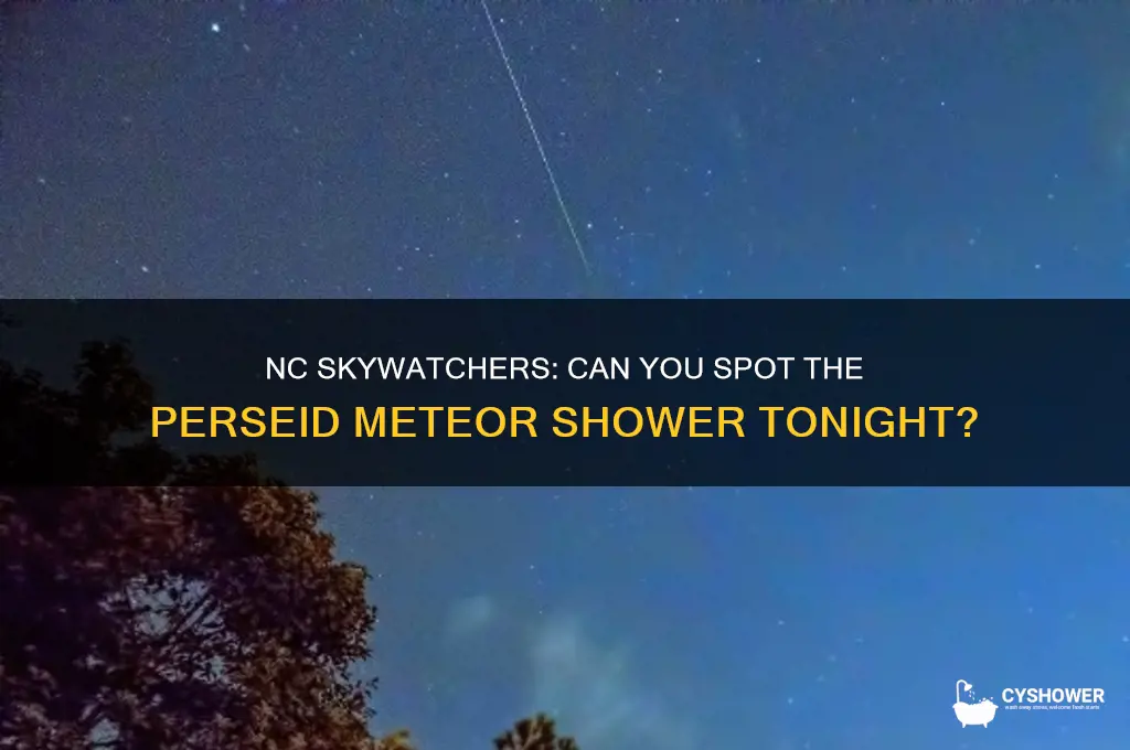 can persid meteor shower be seen in nc tonight