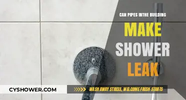 Can Building Pipes Cause Shower Leaks? Understanding Hidden Plumbing Issues