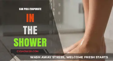 Does Shower Urine Evaporate? Exploring the Science Behind Bathroom Myths