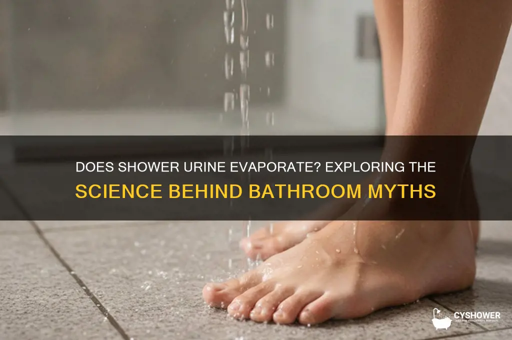 can piss evaporate in the shower
