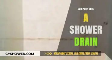 Can Poop Clog a Shower Drain? Surprising Facts and Solutions