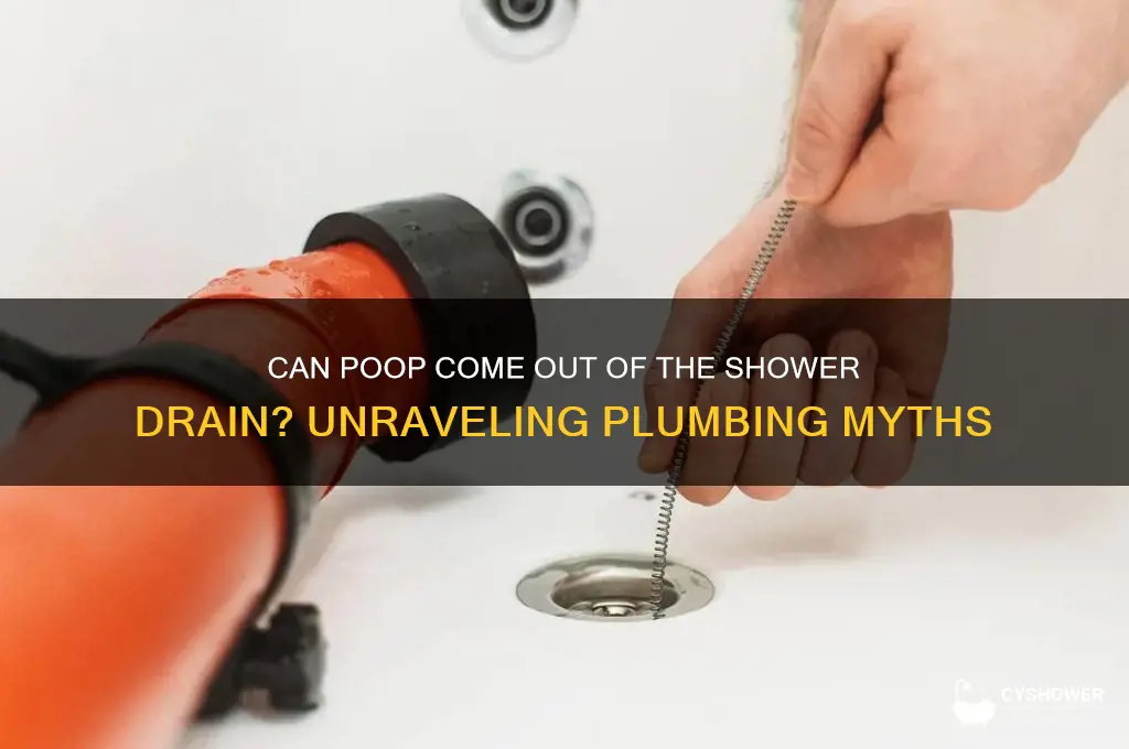 can poop come out of the shower drain