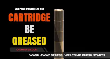 Greasing Price Pfister Shower Cartridge: Maintenance Tips and Best Practices