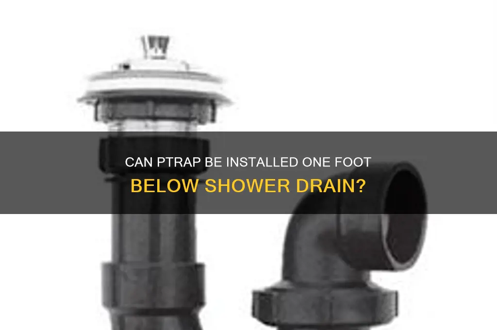 can ptrap be down ine of shower drain one foot
