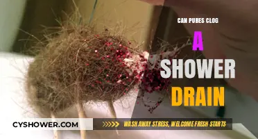 Can Pubes Clog Your Shower Drain? Prevention and Solutions