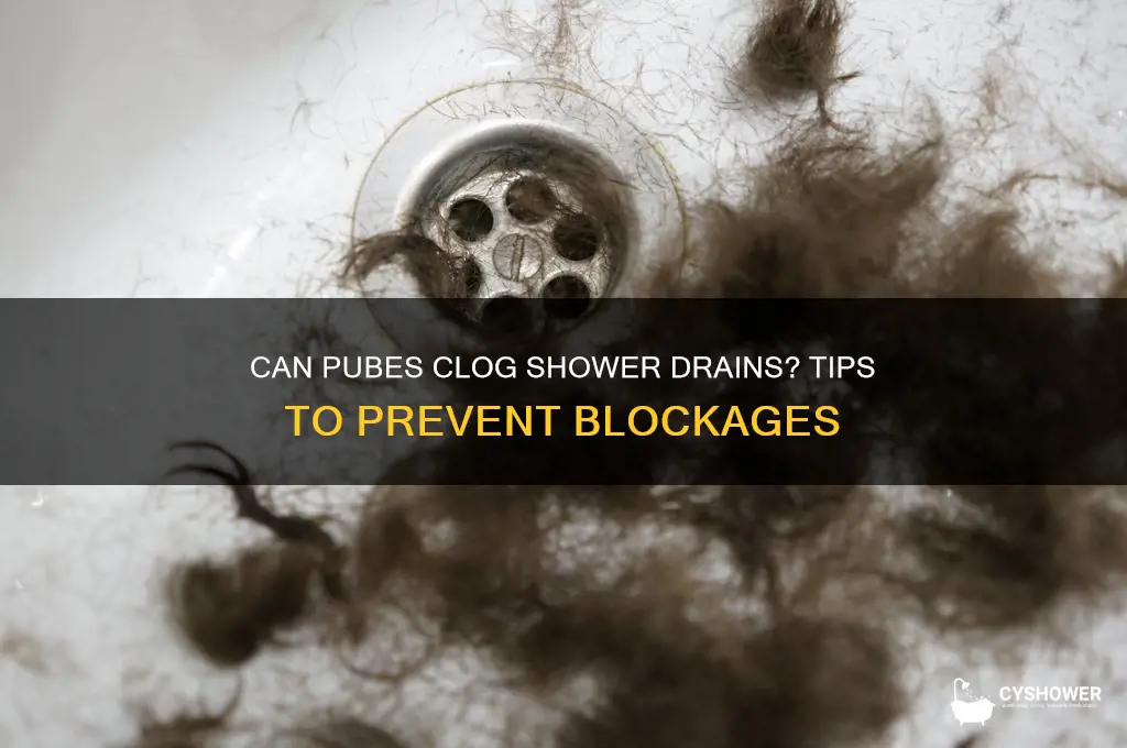can pubes go down the shower drain