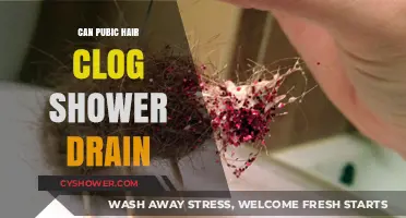 Can Pubic Hair Clog Shower Drains? Prevention and Solutions