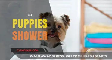 Can Puppies Shower? Bathing Tips for Your Furry Friend