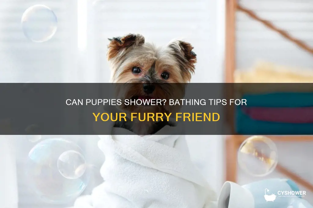 can puppies shower
