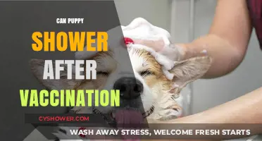 When Can Puppies Have Their First Bath Post-Vaccination?