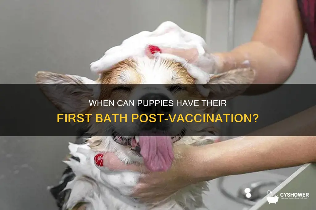 can puppy shower after vaccination