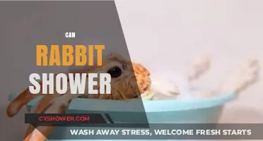 Can Rabbits Shower? Exploring Safe Bathing Practices for Your Bunny
