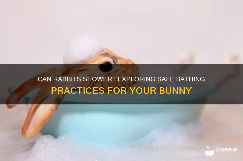 can rabbit shower