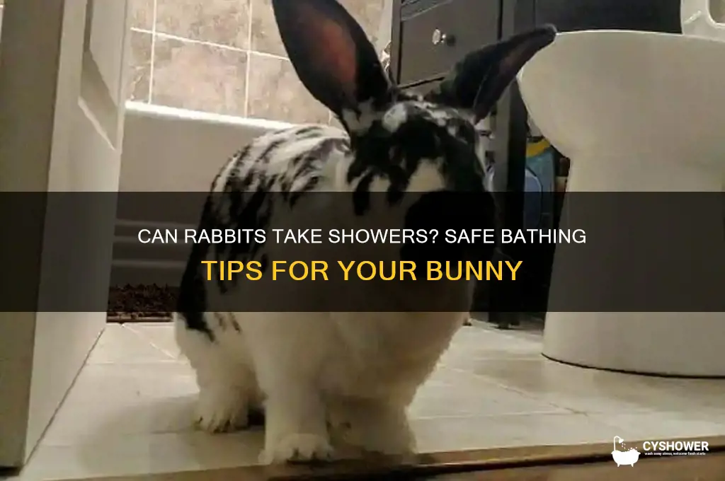 can rabbit take shower