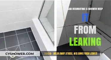 Regrouting Your Shower: A Leak-Proof Solution or Temporary Fix?
