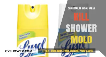 Lysol Spray vs. Shower Mold: Effective Solution or Temporary Fix?