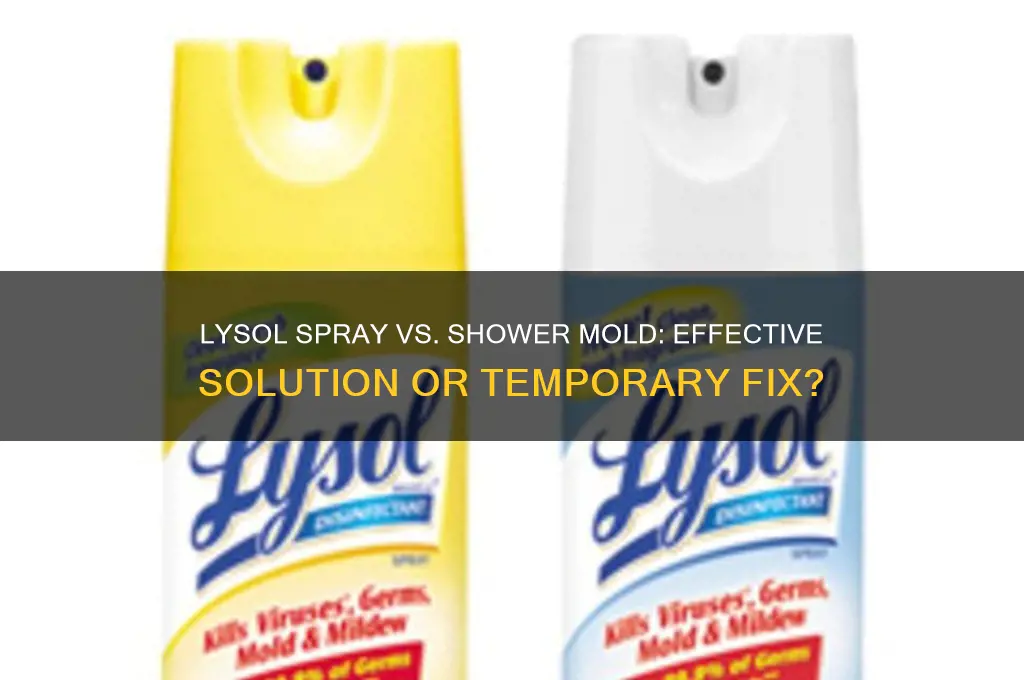 can regular lysol spray kill shower mold