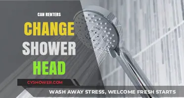 Can Renters Change Shower Heads? Legal and Practical Tips for Tenants