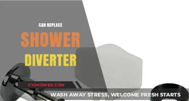 How to Easily Replace a Shower Diverter in Your Bathroom