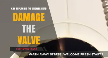 Replacing Shower Heads: Potential Risks to Your Valve Explained
