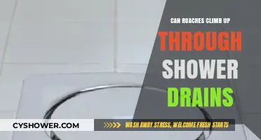 Can Roaches Climb Up Through Shower Drains? Facts Revealed
