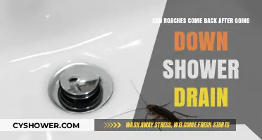 Can Roaches Return After Disappearing Down the Shower Drain?