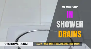 Can Roaches Live in Shower Drains? Uncovering the Truth