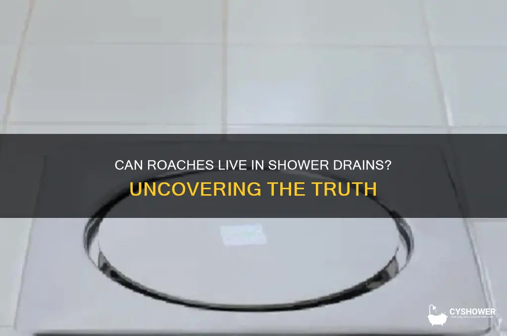 can roaches live in shower drains