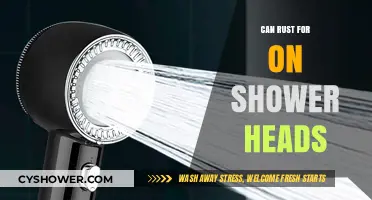 Preventing Rust on Shower Heads: Effective Tips and Maintenance Solutions