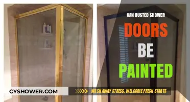 Reviving Rusted Shower Doors: Can Painting Offer a Fresh Solution?