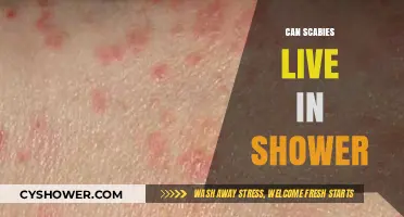 Can Scabies Survive in Your Shower? Debunking Common Myths