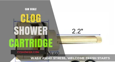 Can Scale Clog Your Shower Cartridge? Prevention and Solutions