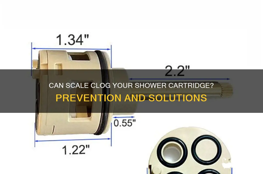 can scale clog shower cartridge