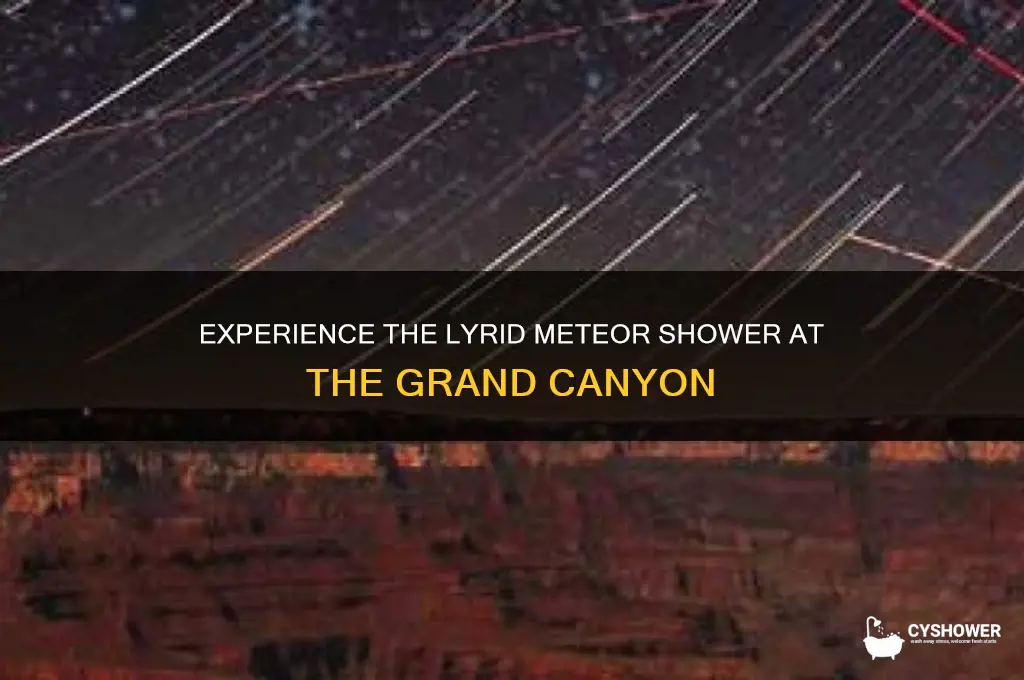 can see the lyrid meteor shower at the grand canyon