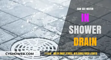 Why You Can See Water in Your Shower Drain: Causes and Fixes