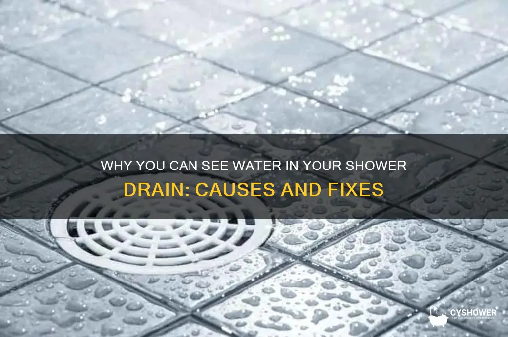 can see water in shower drain