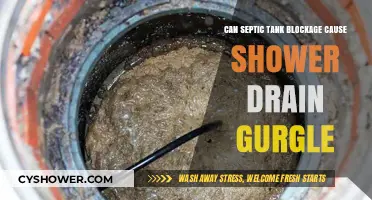 Septic Tank Blockage: The Hidden Cause of Shower Drain Gurgling?