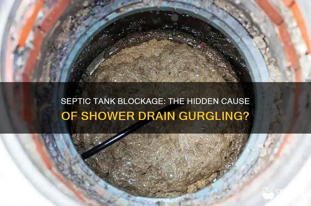 can septic tank blockage cause shower drain gurgle