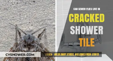 Can Sewer Flies Thrive in Cracked Shower Tiles? Find Out Here